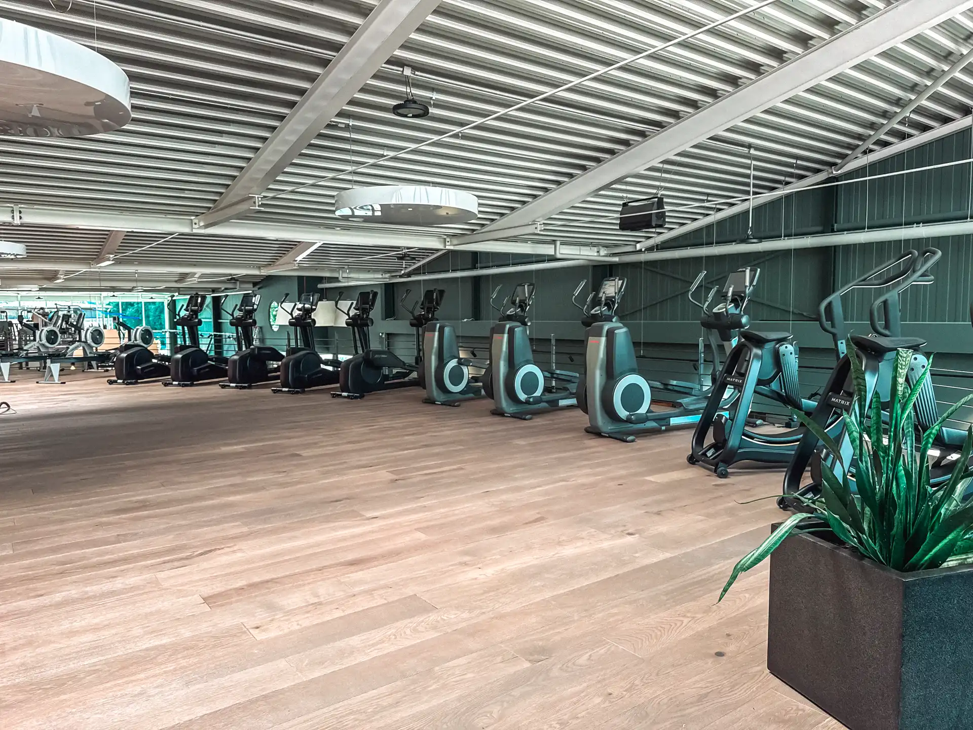 Cardio / TopFloor